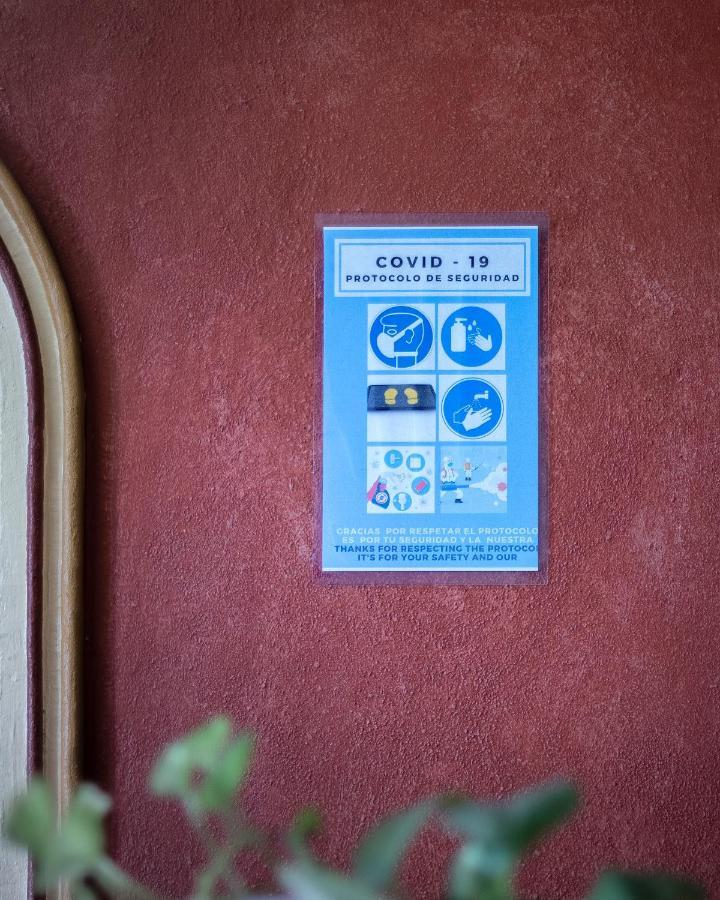 Hotel Casa Del Sotano Oaxaca Zewnętrze zdjęcie